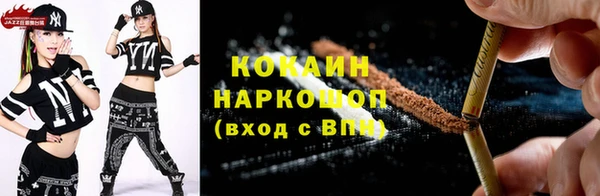 гашик Корсаков