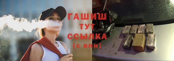 гашик Корсаков
